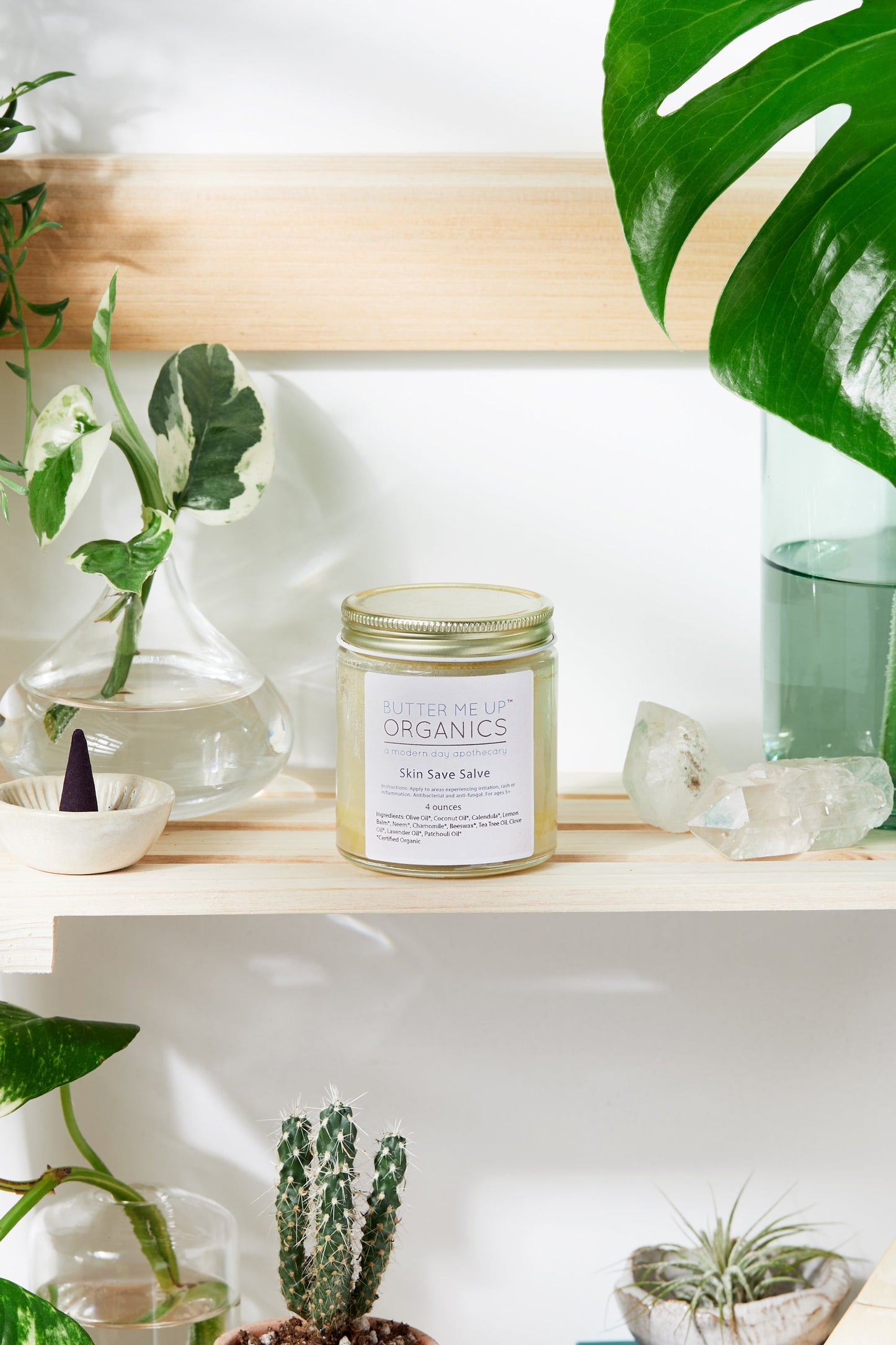 Skin Save Salve - Organic Herbal Skin Support Formula